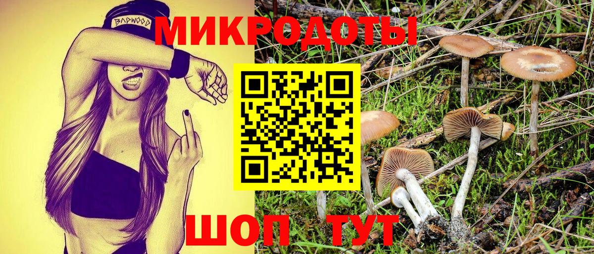 Ржев  Псилоцибиновые грибы мухоморы  Вход с VPN 